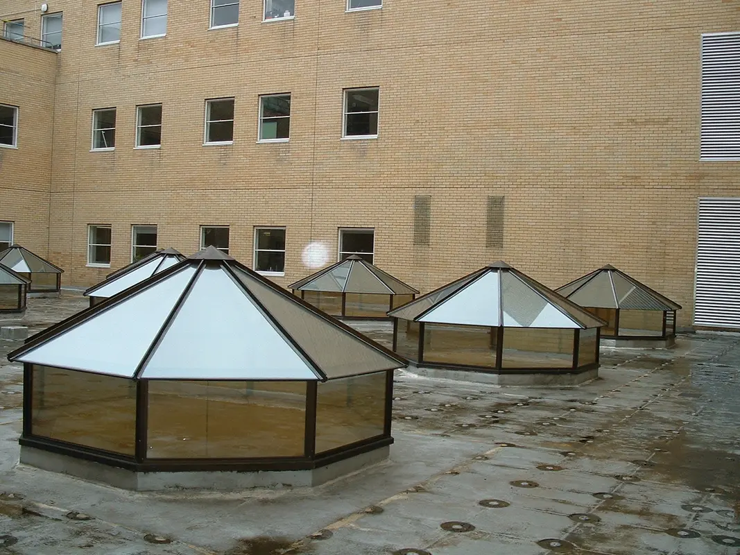 Flat Roof Skylights Crouch End